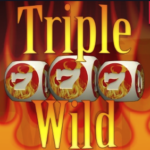 Triple Wild Dices